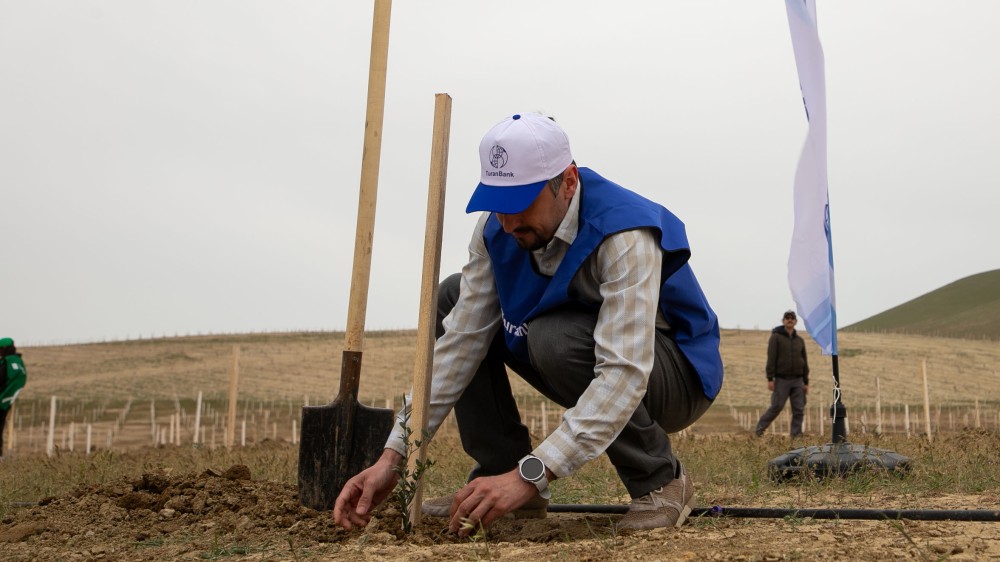 TuranBank ağacəkmə aksiyasında iştirak edib